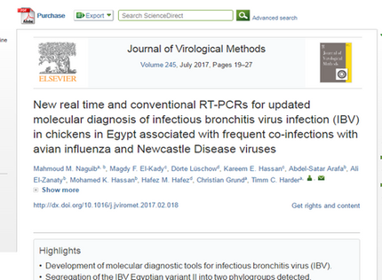 My new paper