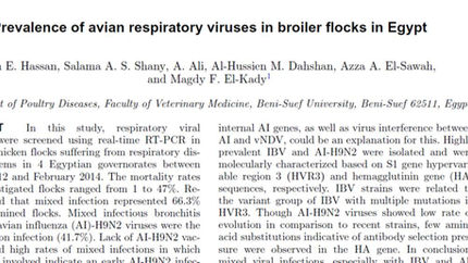 My paper 2016