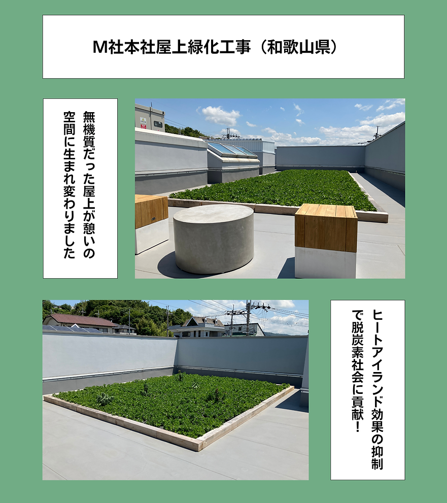ホームページデザイン用（キリンソウ） (4).png