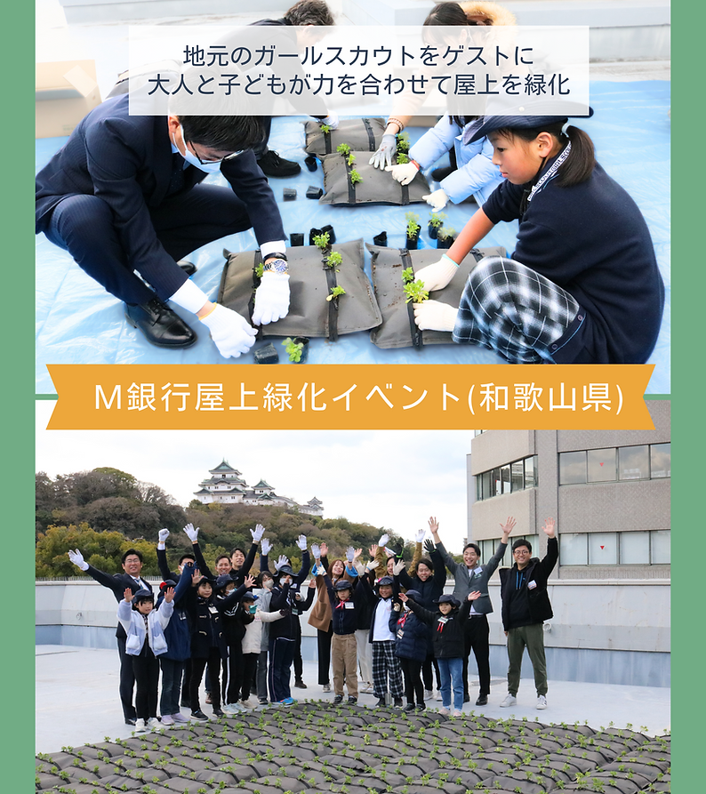 ホームページデザイン用（キリンソウ） (6).png
