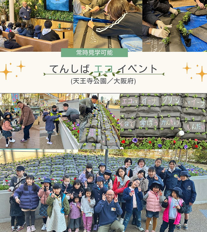 ホームページデザイン用（キリンソウ） (7).png