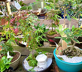 IMG-5350.jpg