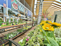花苗売場
