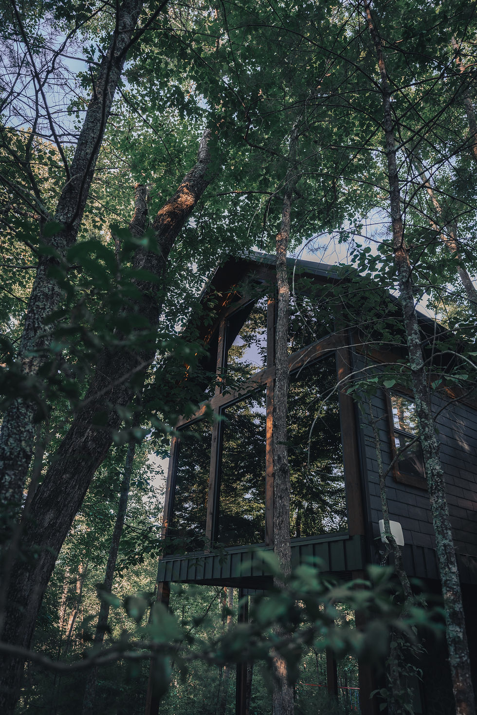 A-frame cabin with large windows surrounded by lush green trees in a forest. Sunlight filters through leaves, creating a serene atmosphere. architecture by Reynard Custom Homes.