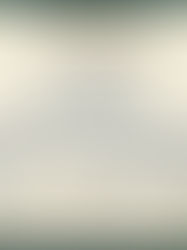 An architectural infographic by Reynard Custom Homes titled "The Cupola." The background resembles graph paper with a technical, blueprint-style drawing of a house roofline featuring a cupola structure at the peak. Below the drawing are three informational panels: the first defines a cupola as a small structure sitting on the roof ridge; the second highlights its characteristic as a "crown" or lantern for the home; and the third explains "Why It Matters," using icons to illustrate benefits like passive ventilation and adding natural light to interior spaces. The design uses the brand's rust orange and dark green colors with the Reynard fox logo in the top corner.