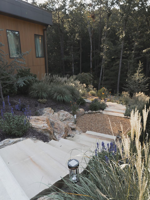 Concrete steps leading down a sloped garden path alongside a modern wood-clad house, featuring large natural boulders, tall ornamental grasses, and small purple flowers. Architecture by James Knight Photo by Kalyn Kight Reynard Architectural Designs