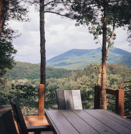 LOOKOUT - Cherry Log, GA is a single family custom home available for short term rental in Cherry Log, GA designed by James Knight of Reynard Custom Homes