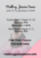Pink Kiddie Ballet Studio Flyer (2).png