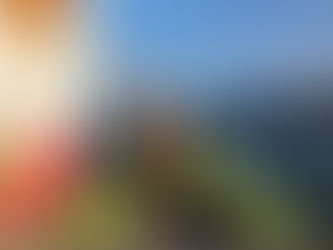 Wildlife spotten in IJsland : walvissen