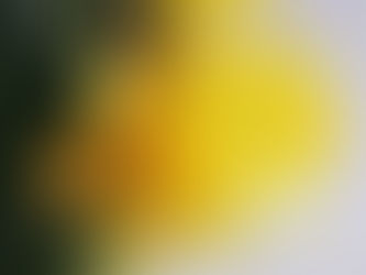 Eindelijk lentegevoel!