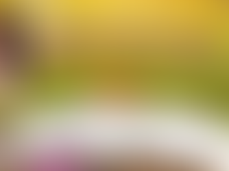 My Favorite Bible Verse