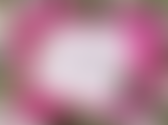 Throwback to the Good Author