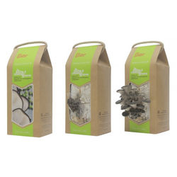 La Boîte à Champignons