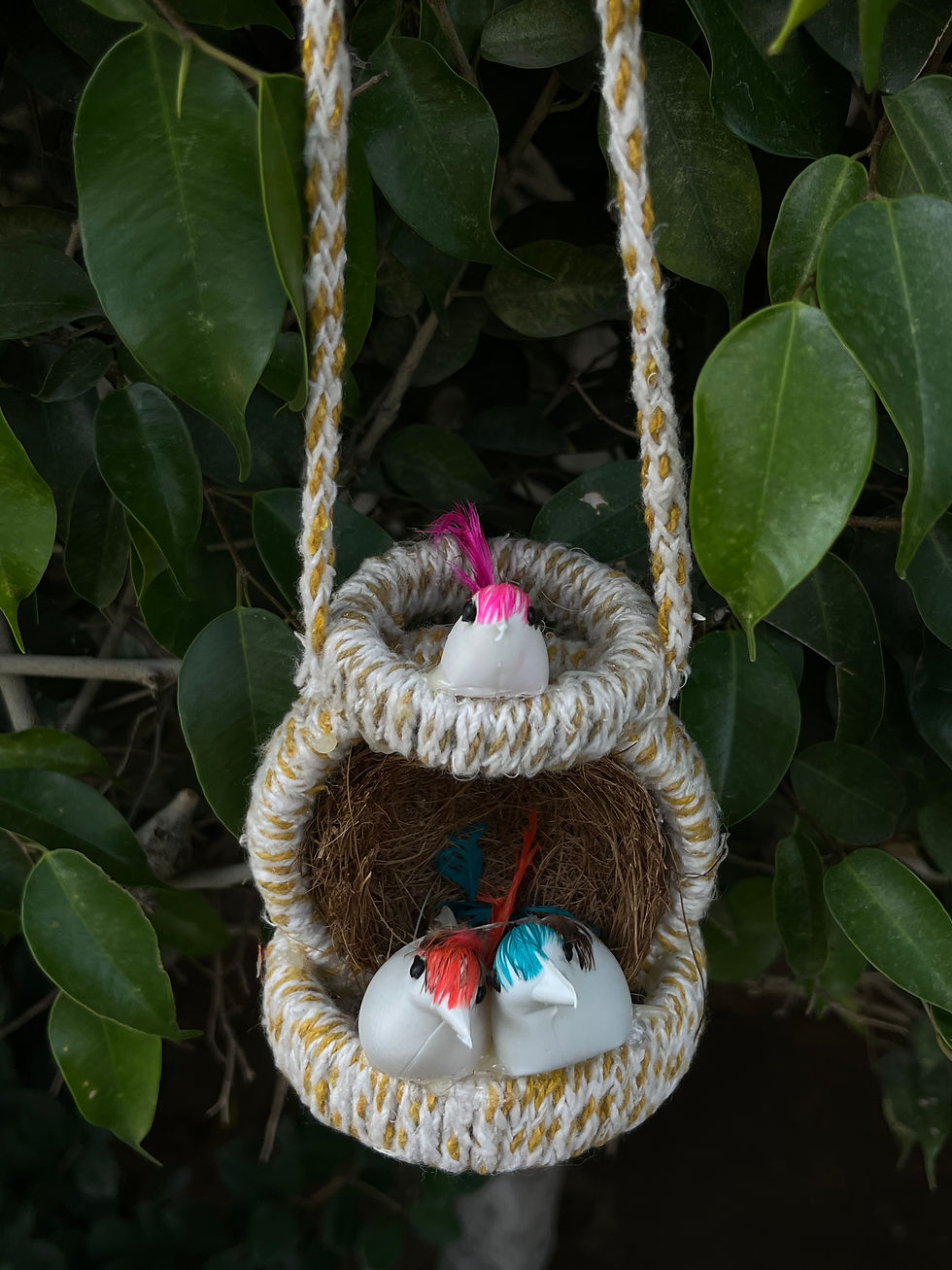 Sparrow Nest- Small