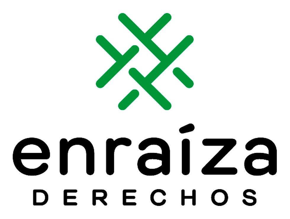 enraiza_derechos_logo_RGB_grande-1-scaled.jpg