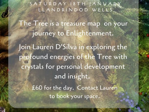 Crystals on the Tree of Life