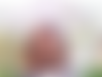 Day 128 - 135: Exploration and Transformation