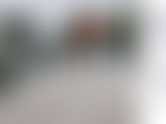 Day 217 - 242: A Place of Projects - Hello, Ballymore Organic Farm!