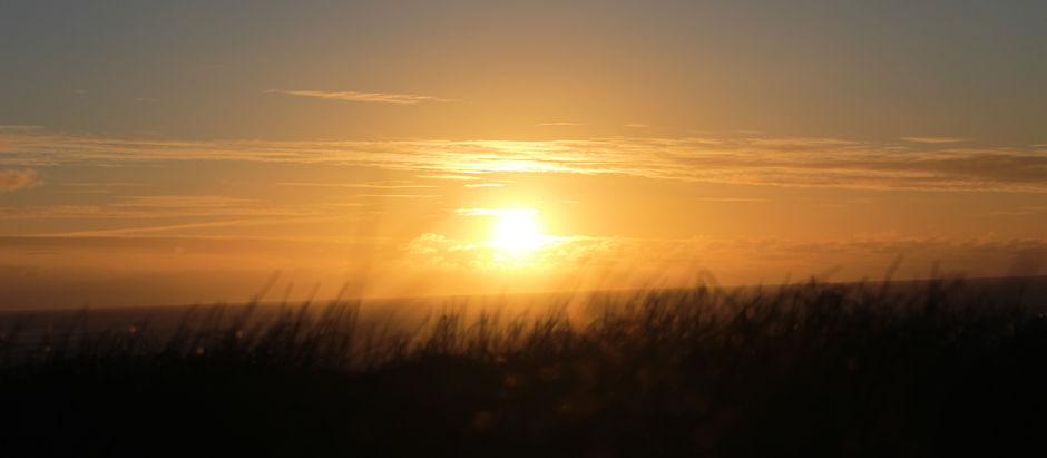 Day 28 & 29: Philosophy within routine & Last day of quarantine