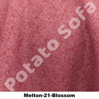 Melton-21-Blossom.jpeg