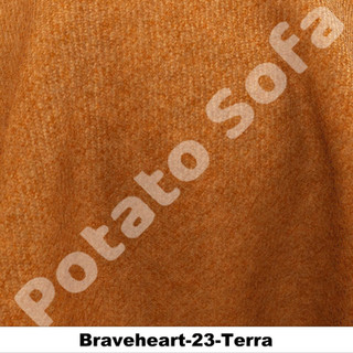 Braveheart-23-Terra.jpeg