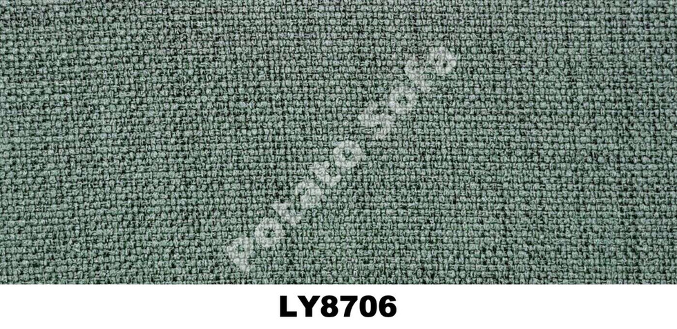 LY8706.jpeg