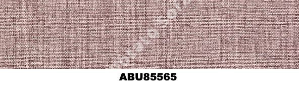 ABU85565.jpg