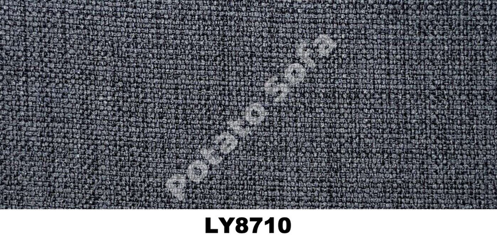 LY8710.jpeg