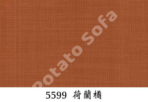 5599 荷蘭橘