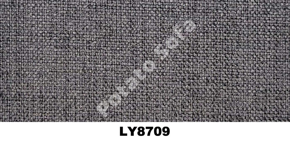 LY8709.jpeg
