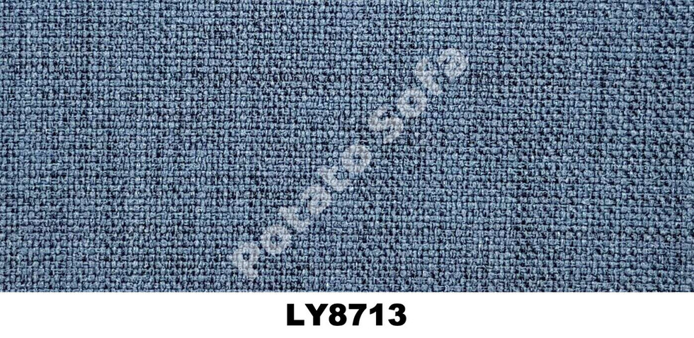 LY8713.jpeg