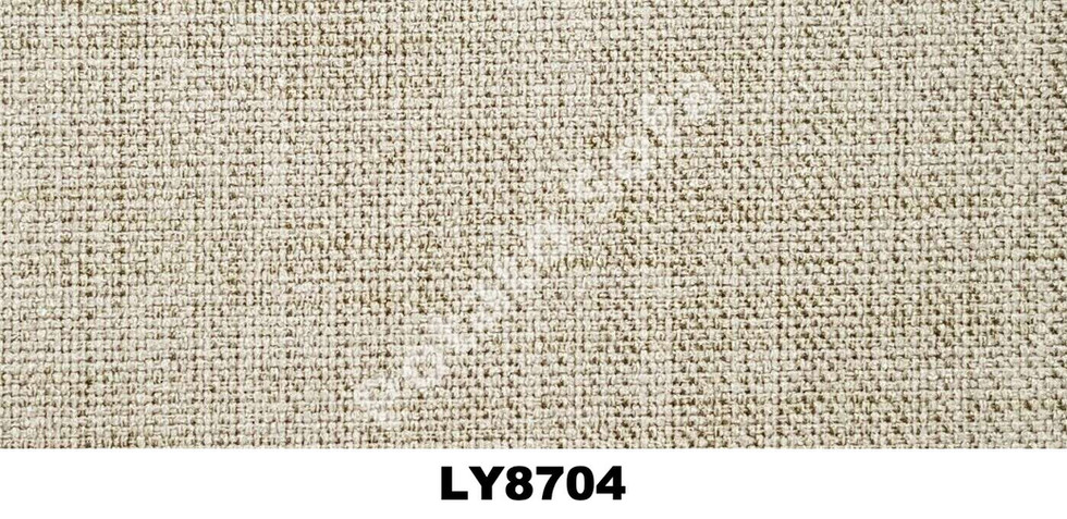 LY8704.jpeg