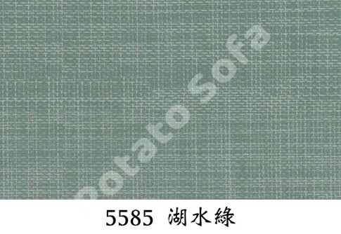 5585 湖水綠