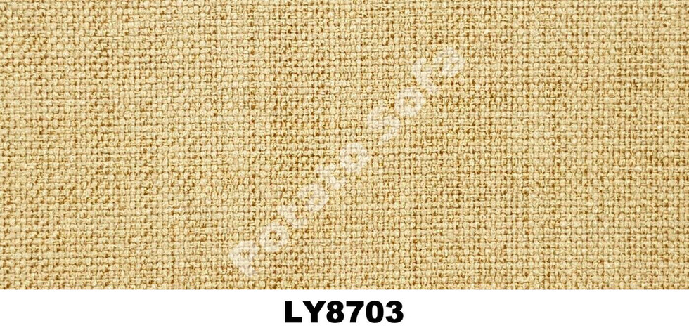 LY8703.jpeg