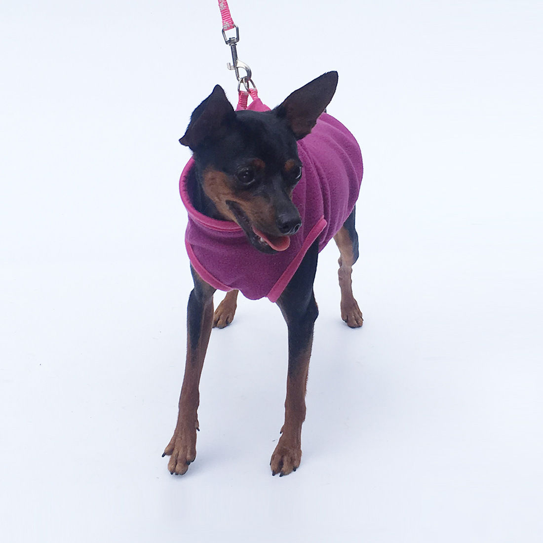 Polar Fleece Dog Clothes for Pets