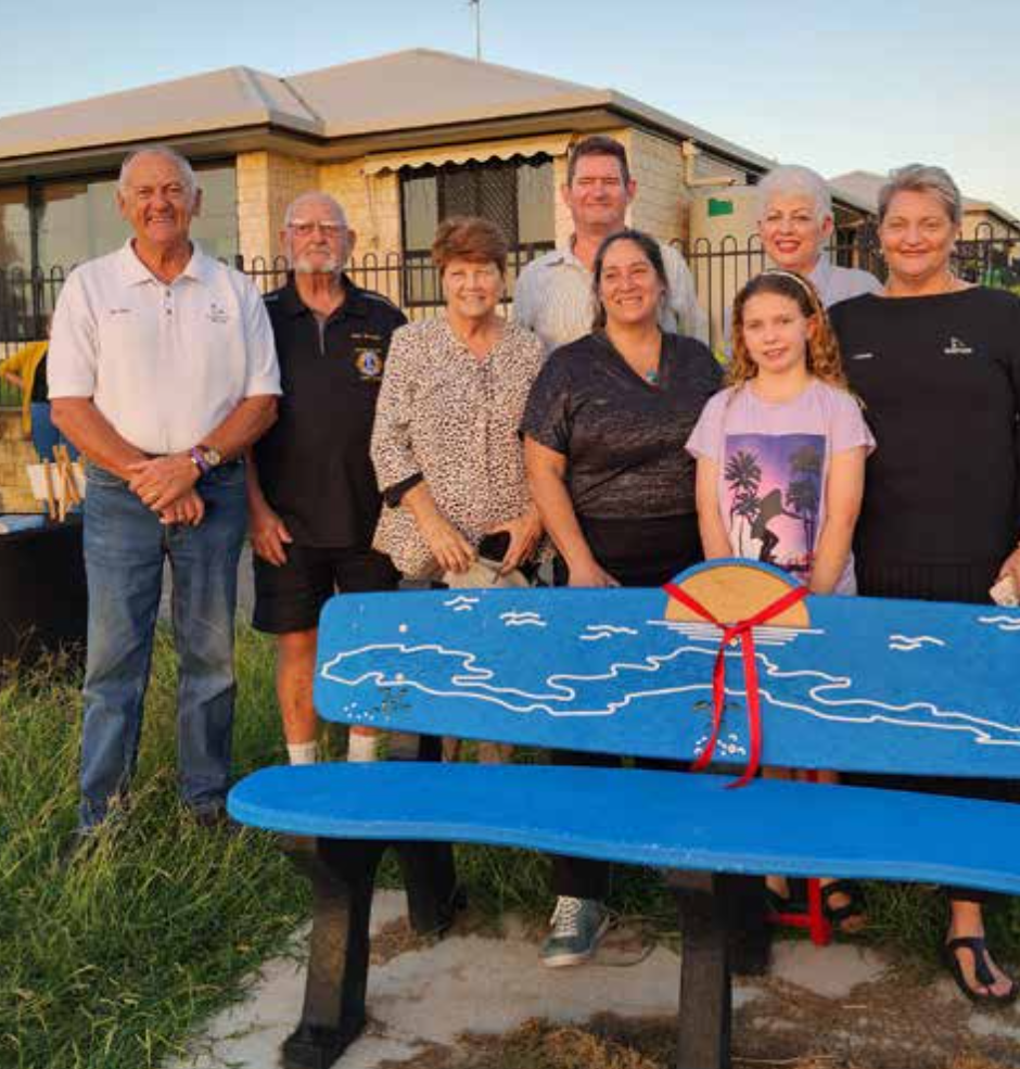 Sunset Turtles Bench Uneiled