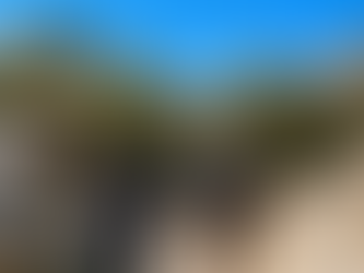 Indian Canyons: Hiking Palm Springs' Palm Oases