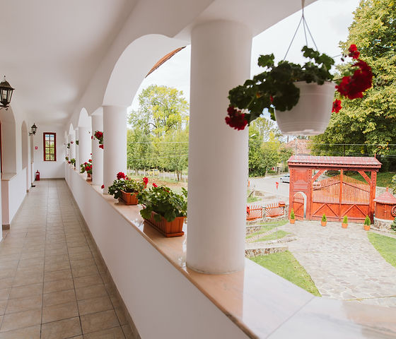 terrace garden.jpg