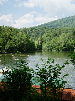 Lake view.png