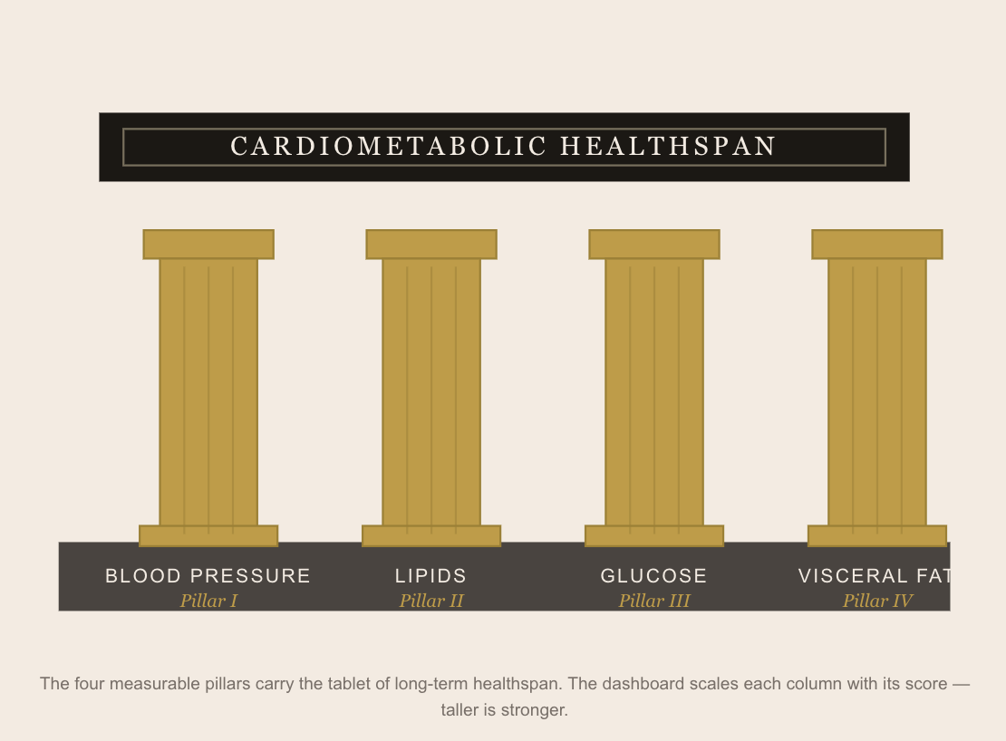 Four pillars of cardiometabolic healthspan and visceral adiposity.
