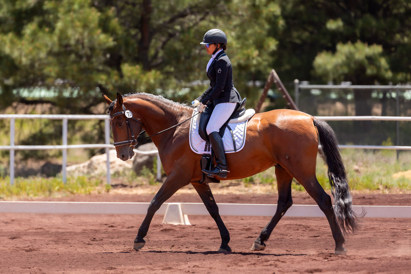 Desert Sun Training, Dressage