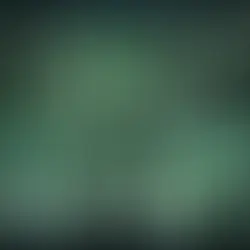 Leveraging Artificial Intelligence for Business Success: Insights from the IT Industry