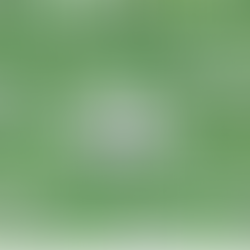 How much does IoT cost in 2024?