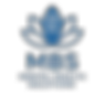 CS-Logo 1 (1).png