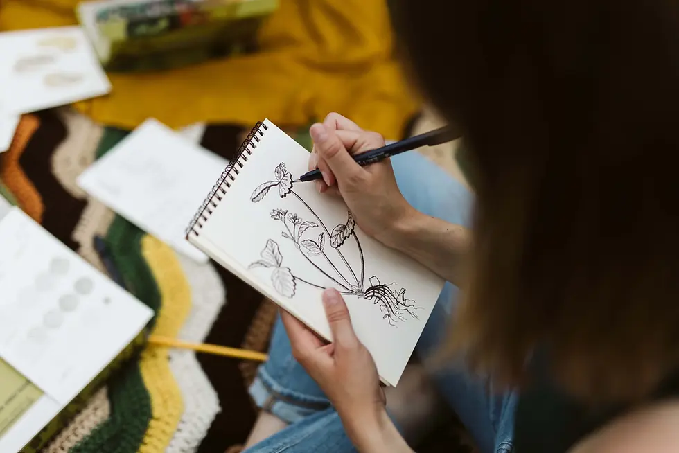 Thumbnail: Botanical Drawing Kit