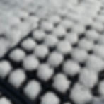 At scale, outdoor stratification was inconsistent and highly dependent on winter conditions. Year two was especially dry, resulting in low germination.