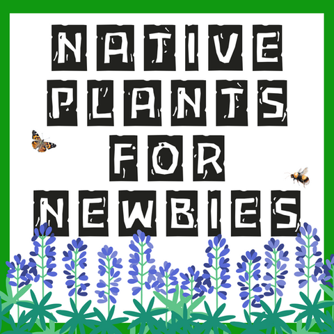 Natives for newbies