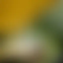 April showers bring...