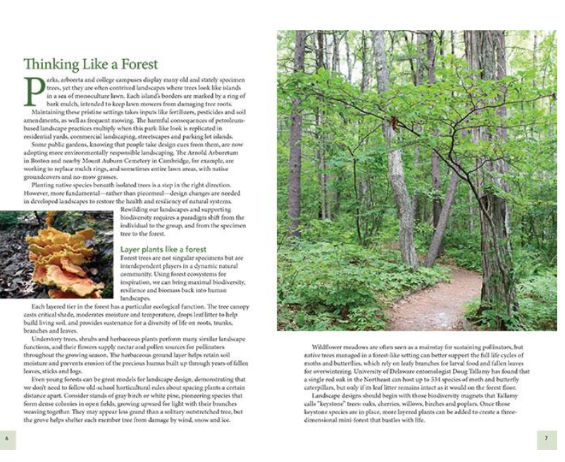 Thumbnail: Book: Native Trees for Northeast Landscapes