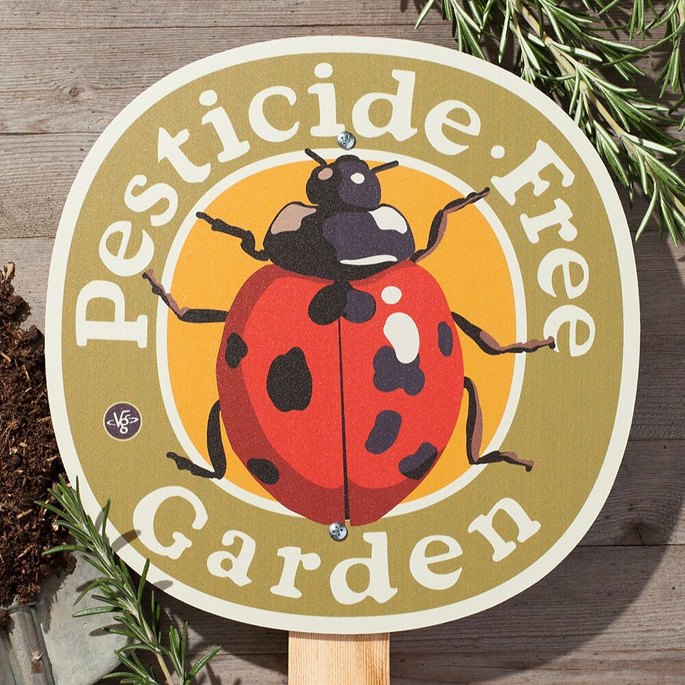 Thumbnail: Sign: Ladybug Pesticide Free Garden - garden sign